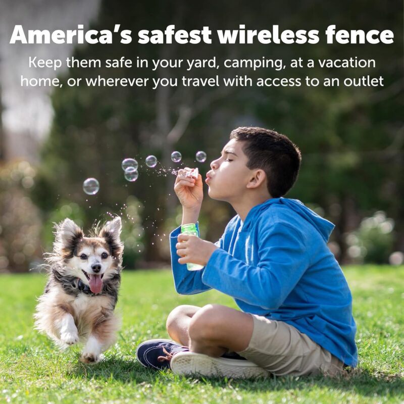 PetSafe Wireless Pet Containment System Receiver Collar for Dogs