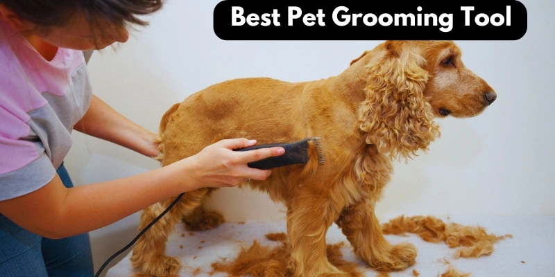 pet grooming products