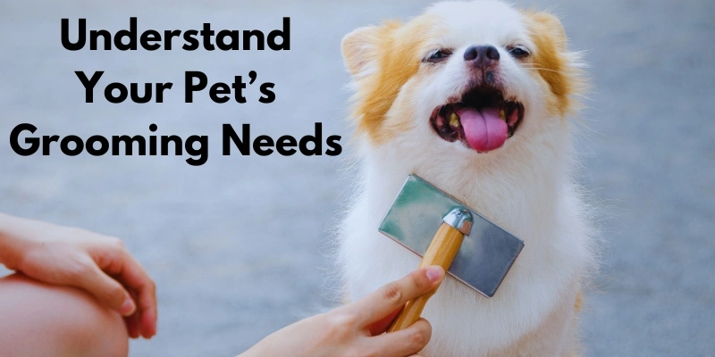 pet grooming products